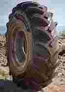 16.9-34 ALL AGRINOVA 8PR TR TT