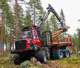 Forestry